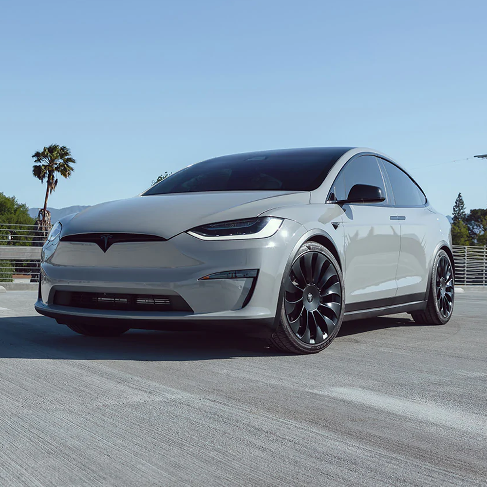 Tesla Model X 2021+